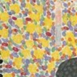 Meet your Posher, Eva